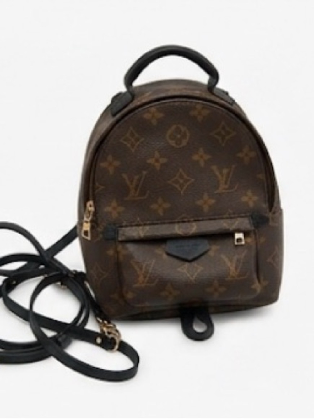 Louis Vuitton Brown and Black Monogram Palm Springs Mini Backpack